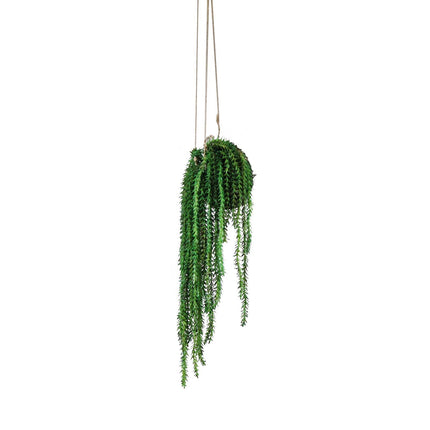 Artificial Hanging Plant  - Kokedama Burrows Jail on Moss 25cm