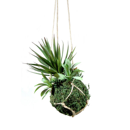 Artificial Hanging Plant - Kokedama Succulents on Moss 25cm